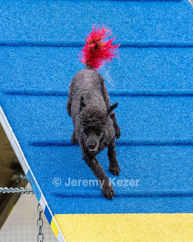 Fly Kearney