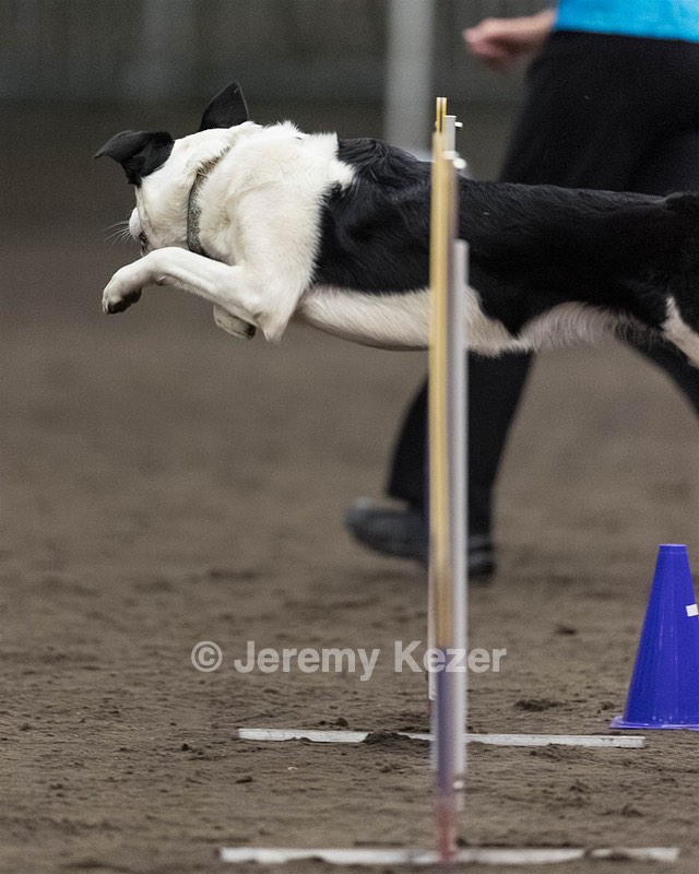 Shiner Thurlow