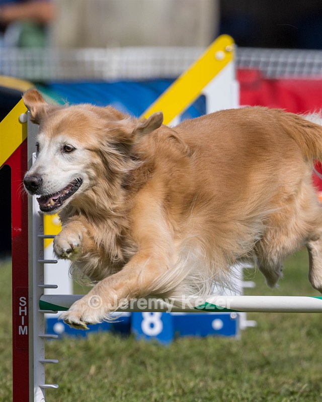 20230916-PVKC-1195.jpg