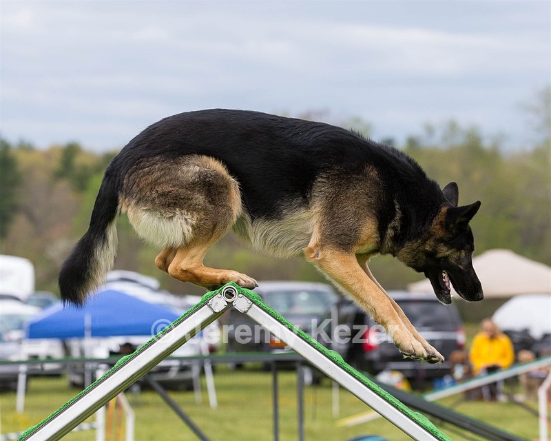 Zoe Hawkes