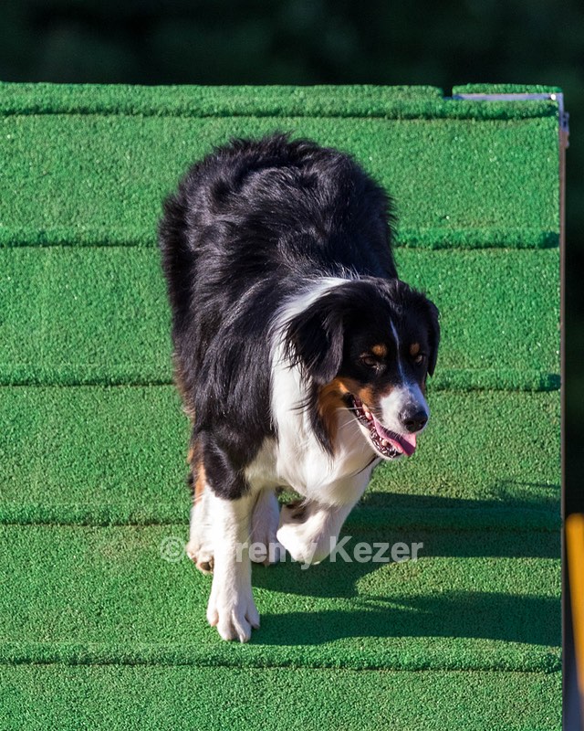 Kona Destremps