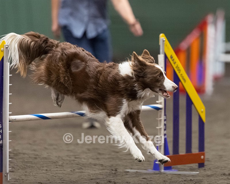 Ruff Bettler