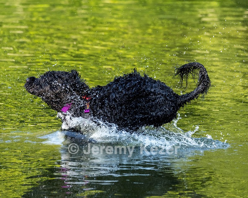 Oceano Robinson