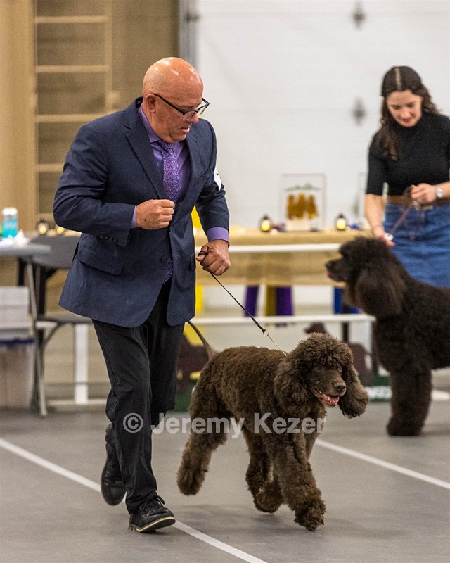 36 - GCH Blackthorn’s Lass That Loves A Sailor in Wicklow CD
RM CGC
