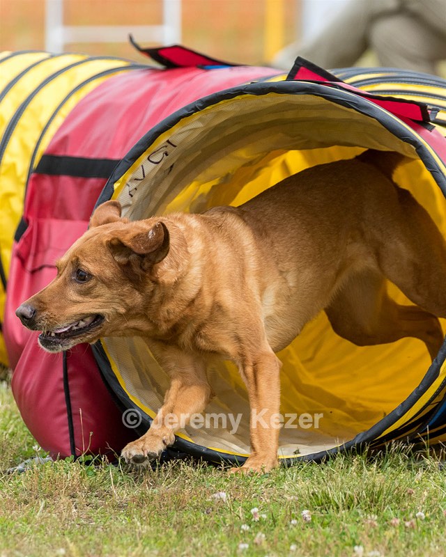 20190616-CCKC-1588.jpg