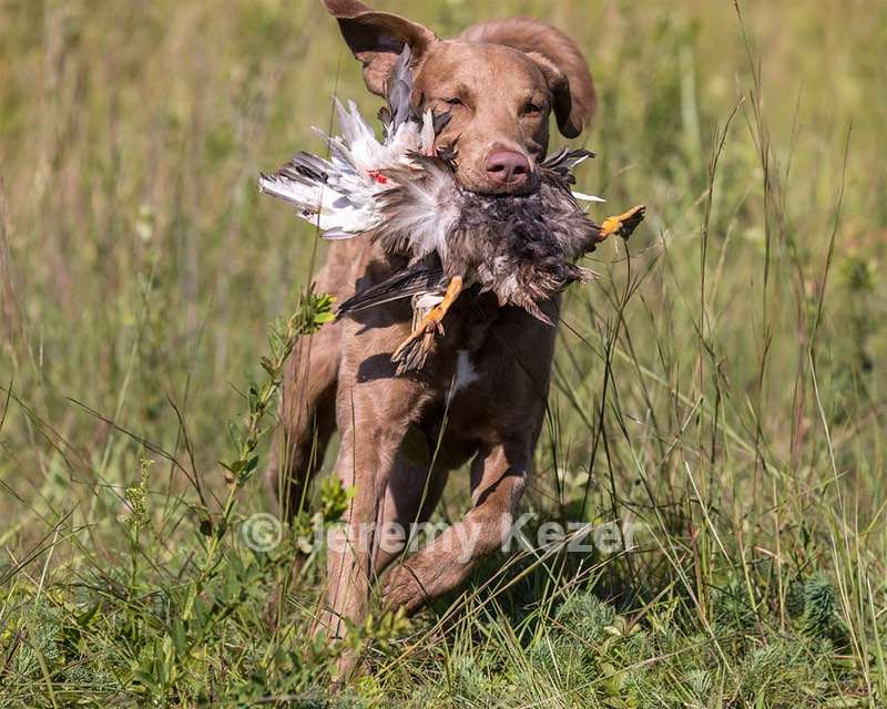 Timber O'Neil