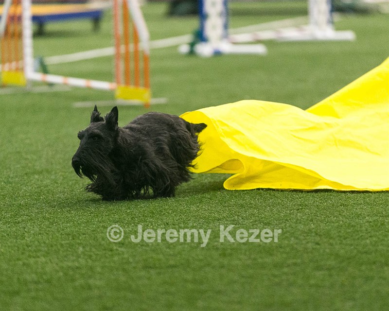 20150322-LEAP-0014.jpg