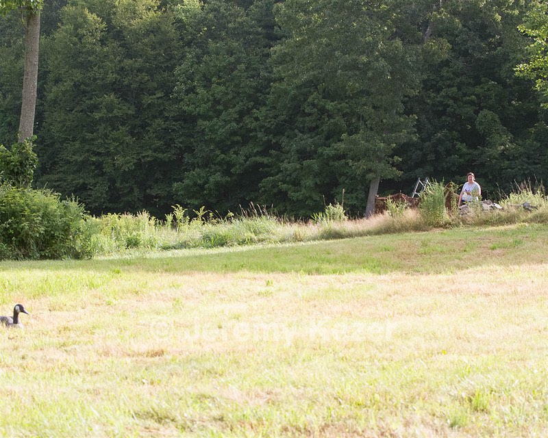 20130810-C-0005.jpg