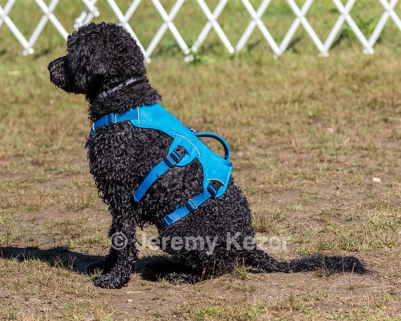 Fenwick Janet