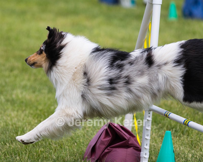 20160515-NEAT-1683.jpg
