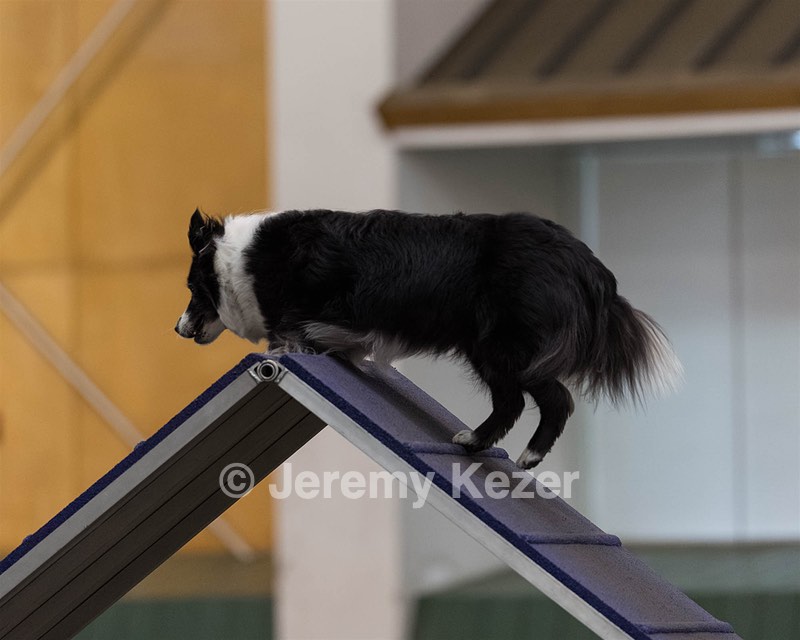 Breeze Schunk