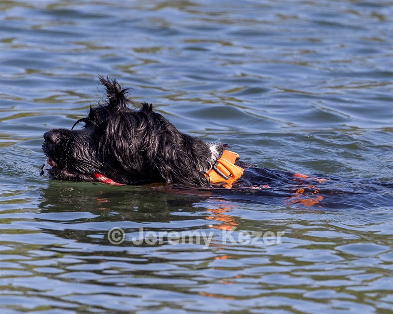 Liza Brogan
