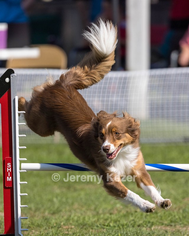 20220917-PVKC-0201-Edit.jpg