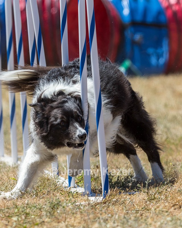 20160618-CCKC-1792.jpg