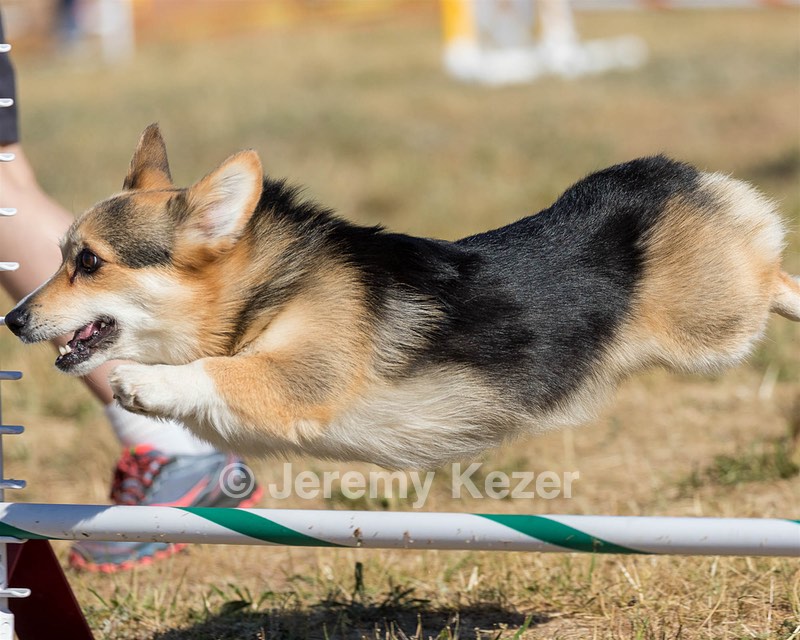 20160619-CCKC-0031.jpg