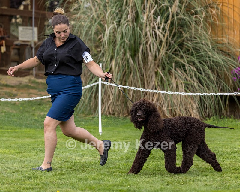 10 - RIVERDANCE DARLING DEMON