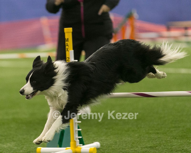 20150321-LEAP-1482.jpg