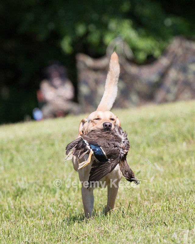 20130601-SHRL-0356.jpg