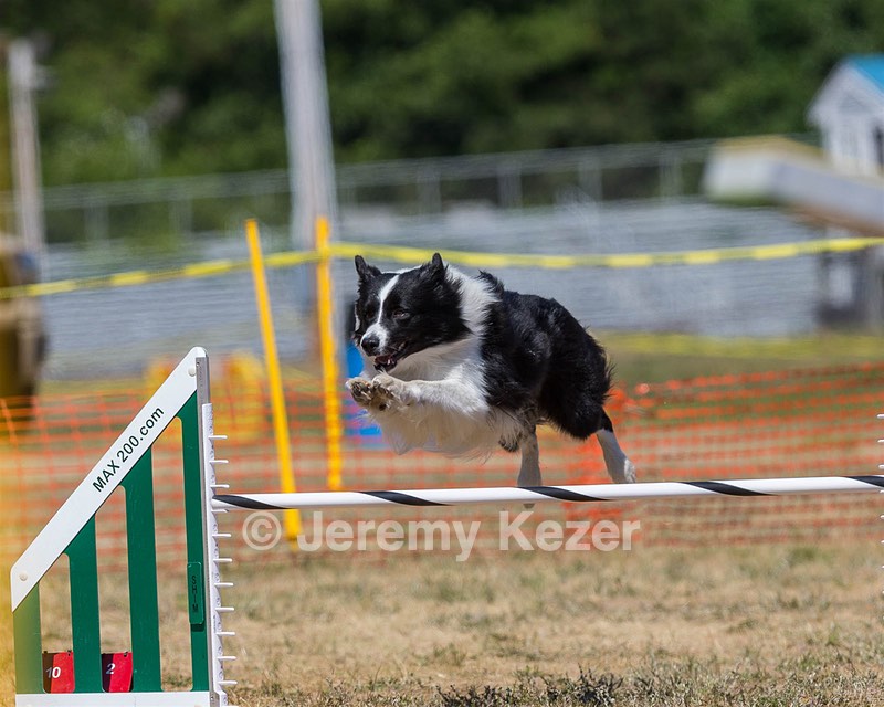 20160619-CCKC-1334.jpg