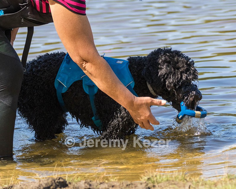 Fenwick Janet