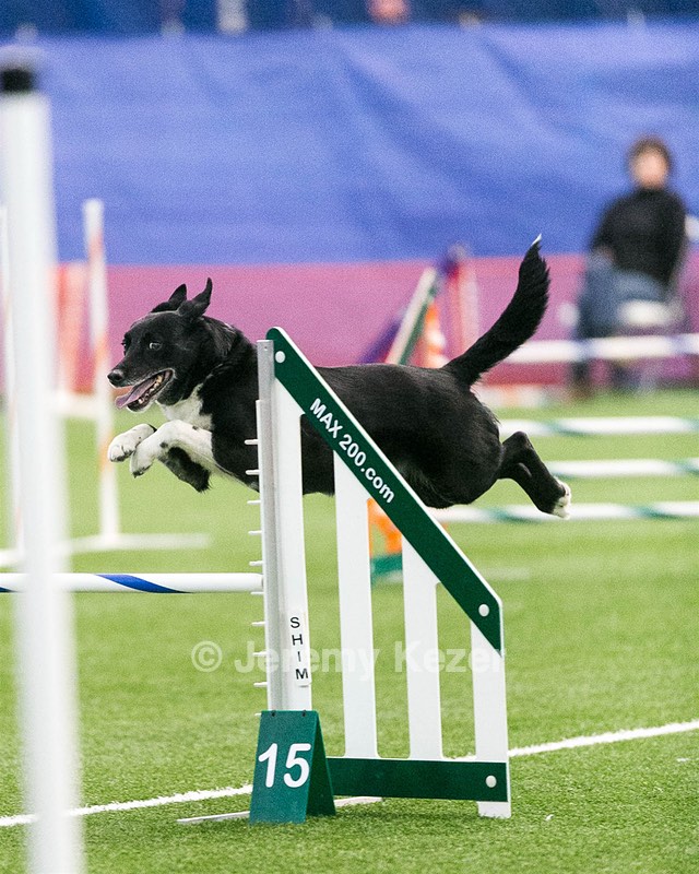 20150322-LEAP-0344.jpg