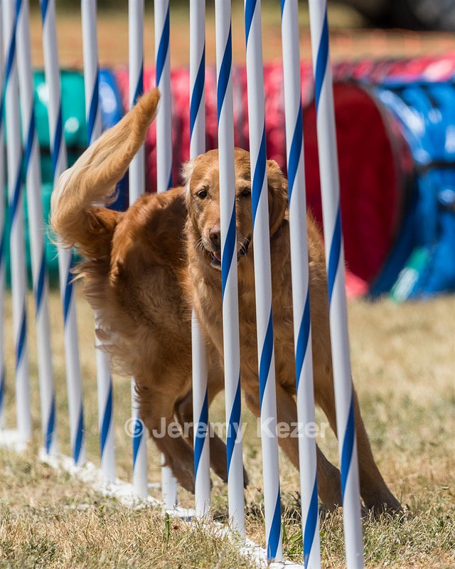 20160618-CCKC-1178.jpg