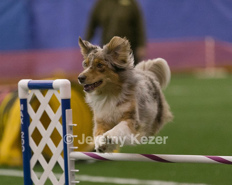 20150321-LEAP-0291.jpg