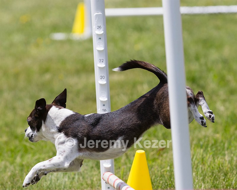 Pippa Hargrove