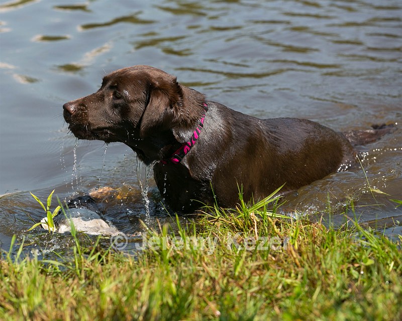 Wynnie Gurlacz