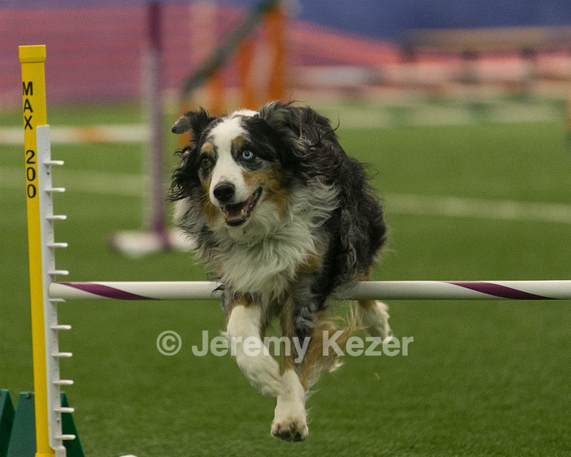 20150321-LEAP-1440.jpg