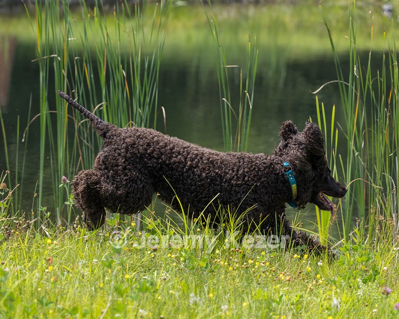 Ghillie Kezer