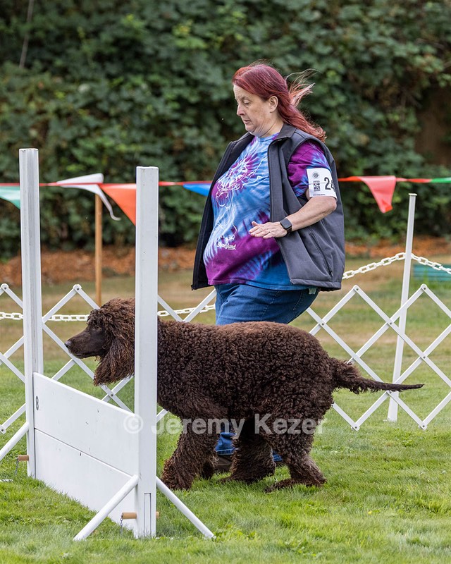 2401 - CAT'S' RUSTY CHARLIE RI CGC TKA (Dugan)