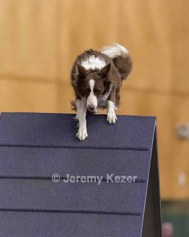 Ruff Bettler