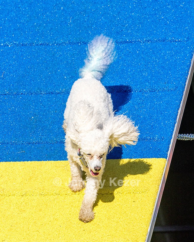 Bolt Kearney