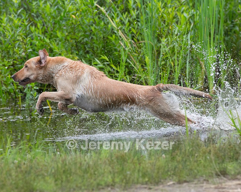 20130713-MHB2-0325.jpg