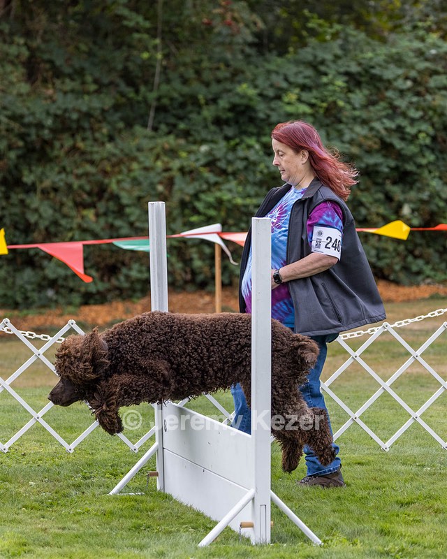 2401 - CAT'S' RUSTY CHARLIE RI CGC TKA (Dugan)