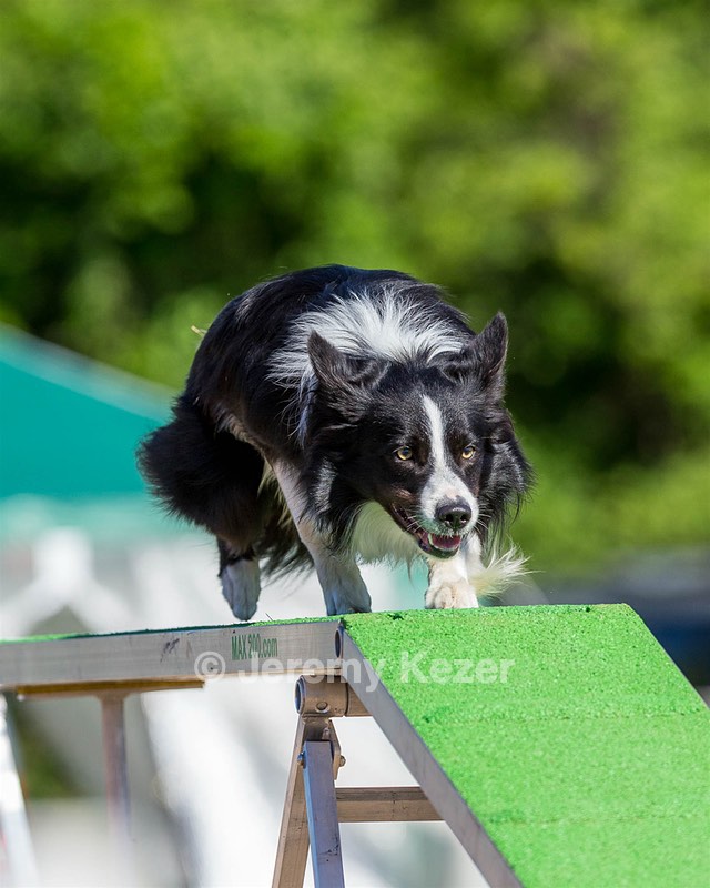 20160618-CCKC-0191.jpg