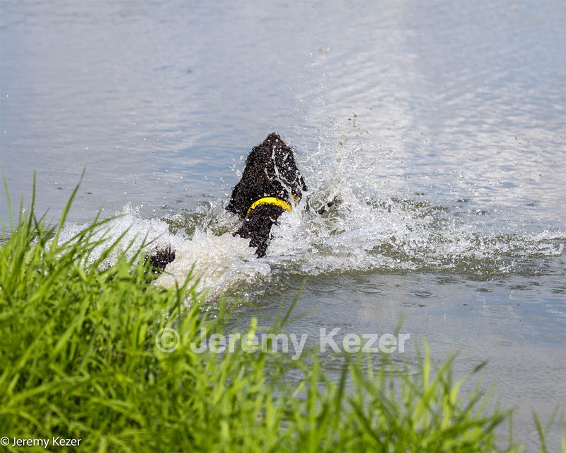 Arrow Kezer