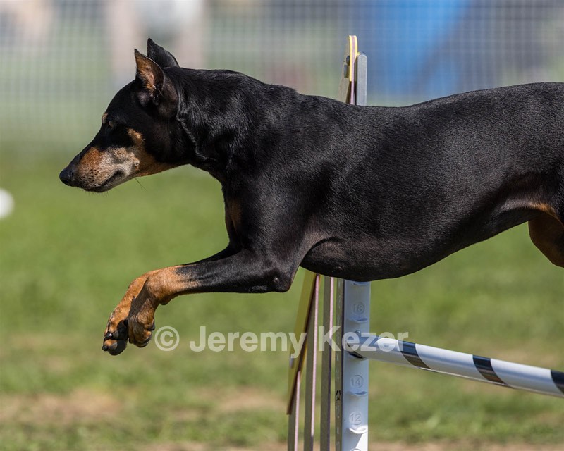 Lexi McDonald