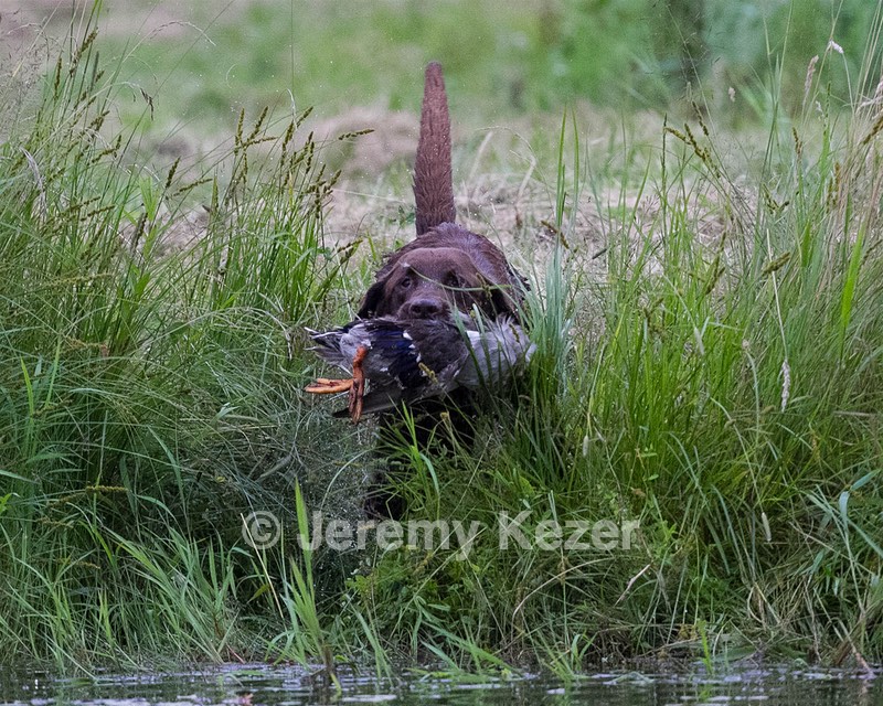 20130713-MHB2-0351.jpg