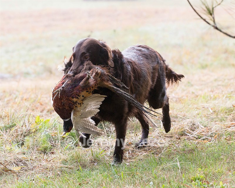 20161008-WCXL-0016.jpg