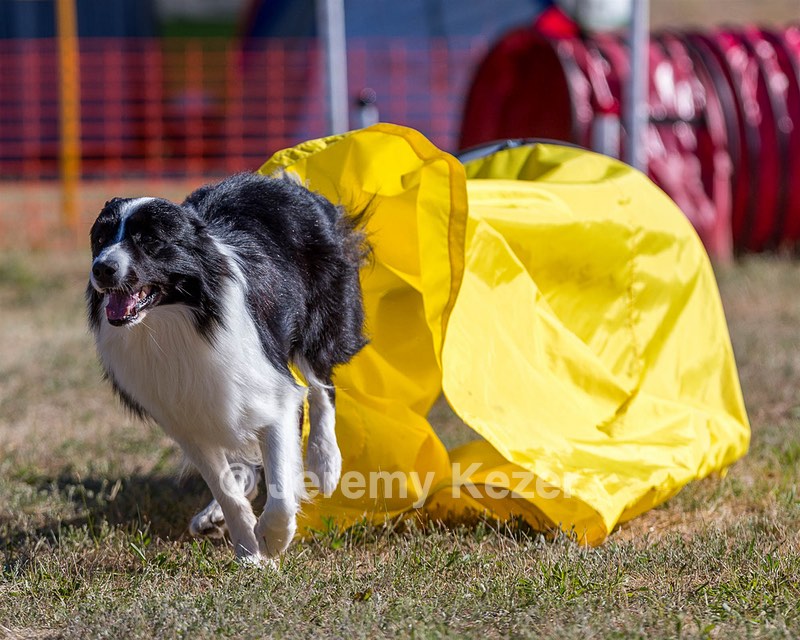 20160618-CCKC-0078.jpg