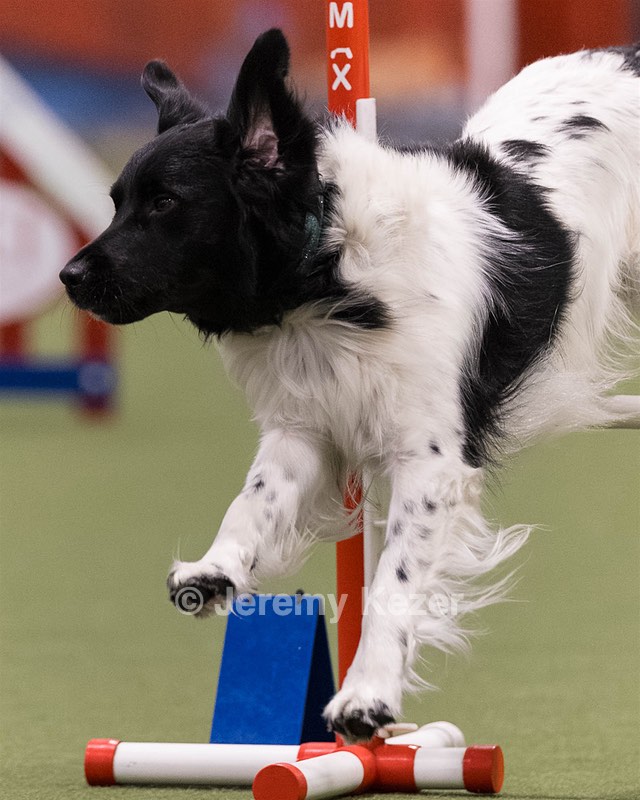 Benji Goerlich