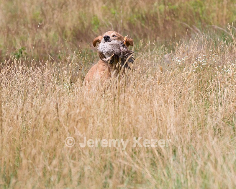 20130713-SHL-0986.jpg
