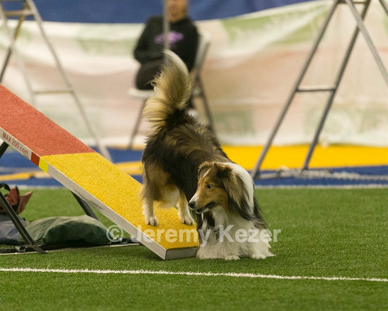 20150321-LEAP-1400.jpg