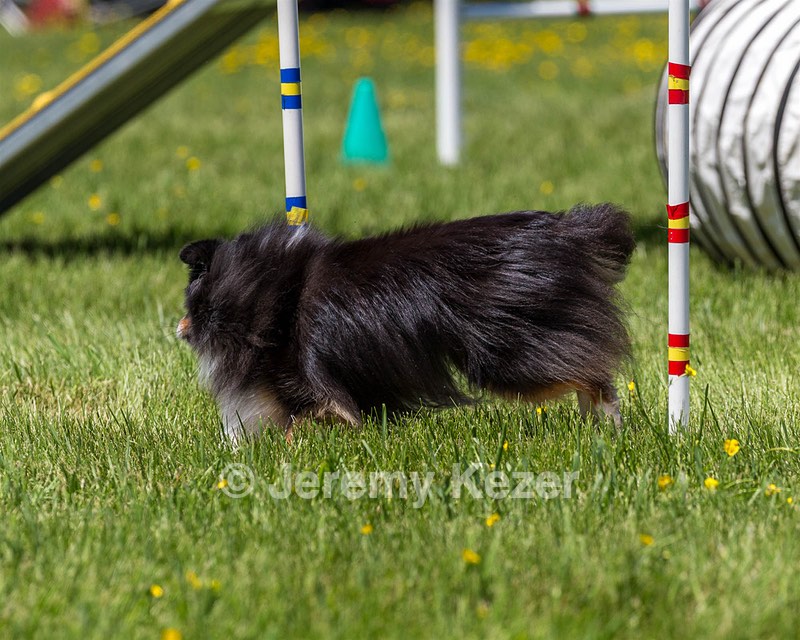 20170520-NEAT-1524.jpg