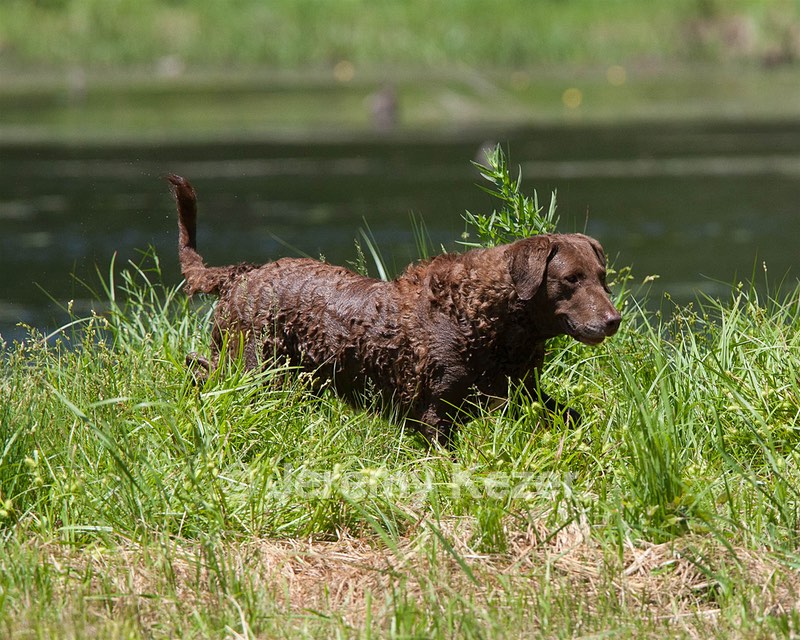 20130602-SEAW-0515.jpg