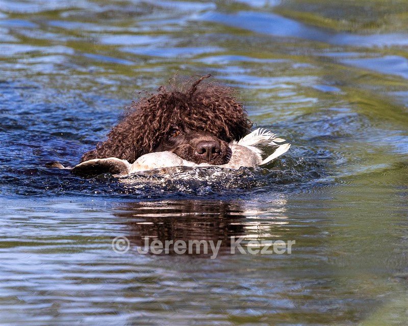 Ghillie Kezer