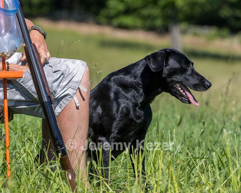 Reba CALLNAME HANDLER