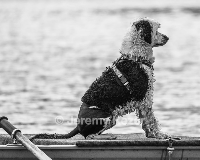 Riot Correia